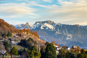 Genfer See mit Bergen am Abend  Chexbres Vaud Schweiz by Peter Ehlert in Wochenende am Genfer See