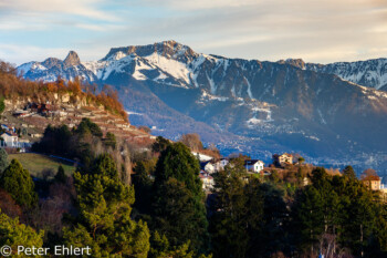 Genfer See mit Bergen am Abend  Chexbres Vaud Schweiz by Peter Ehlert in Wochenende am Genfer See