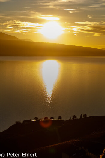 Abendsonne über dem Genfer See  Chexbres Vaud Schweiz by Peter Ehlert in Wochenende am Genfer See