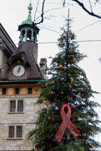 Weihnachtsbaum und Uhrenturm  Genève Genève Schweiz by Peter Ehlert in Wochenende am Genfer See