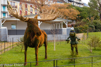 Weihnachtsdeko Elch und Indianer  Montreux Vaud Schweiz by Peter Ehlert in Wochenende am Genfer See