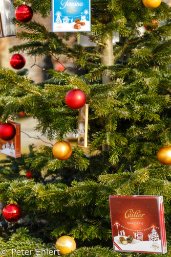 Weihnachtsbaum mit Schokoladenpackungen     by Peter Ehlert in Wochenende am Genfer See