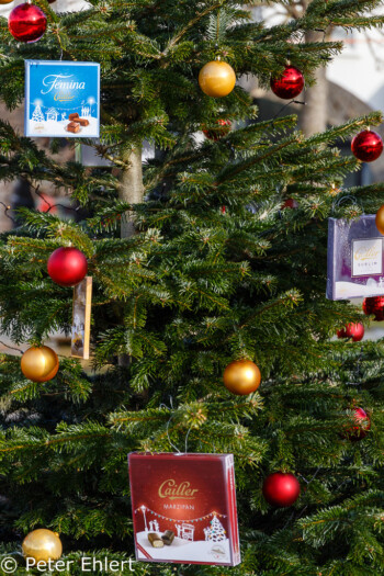 Weihnachtsbaum mit Schokoladenpackungen     by Peter Ehlert in Wochenende am Genfer See