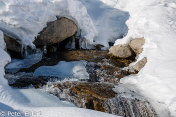 Bachlauf  Gemeinde Sankt Leonhard im Pitzt Tirol Österreich by Peter Ehlert in Pitztal