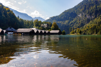 Bootshäuser  Schönau am Königssee Bayern Deutschland by Peter Ehlert in Berchtesgadener Land