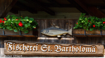 Schild der Fischerei  Schönau am Königssee Bayern Deutschland by Peter Ehlert in Berchtesgadener Land
