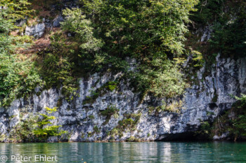 Kalkfelsen  Schönau am Königssee Bayern Deutschland by Peter Ehlert in Berchtesgadener Land