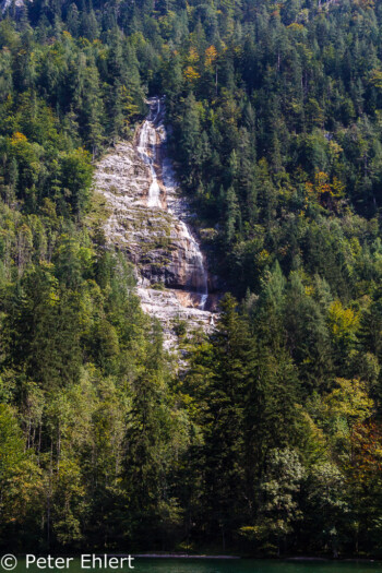 Wasserfall Königsee  Schönau am Königssee Bayern Deutschland by Peter Ehlert in Berchtesgadener Land