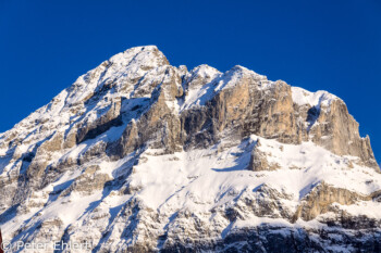 Mättenberg  Grindelwald Bern Schweiz, Swizerland by Peter Ehlert in Eiger-Jungfrau-Aletsch-Grindelwald