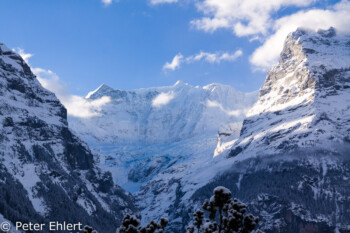 Bärglistock mit oberem Grindelwaldgletscher   Bern Schweiz, Swizerland by Peter Ehlert in Eiger-Jungfrau-Aletsch-Grindelwald