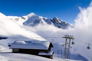 Schwarzhorn und Gemsberg  Grindelwald First 2168m Bern Schweiz, Swizerland by Peter Ehlert in Eiger-Jungfrau-Aletsch-Grindelwald