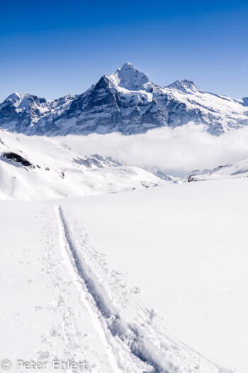 Zweite Pause unterhalb Faulhorn   Bern Schweiz, Swizerland by Peter Ehlert in Eiger-Jungfrau-Aletsch-Grindelwald