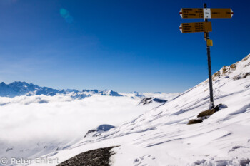 Wegweiser   Bern Schweiz, Swizerland by Peter Ehlert in Eiger-Jungfrau-Aletsch-Grindelwald