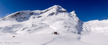 Hütte vor Reeti  Bachalpsee 2265m Bern Schweiz, Swizerland by Peter Ehlert in Eiger-Jungfrau-Aletsch-Grindelwald