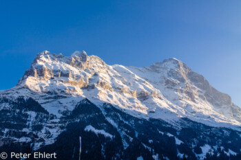 Mättenberg im Abendlicht  Grindelwald Bern Schweiz, Swizerland by Peter Ehlert in Eiger-Jungfrau-Aletsch-Grindelwald