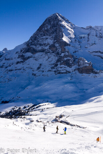 Eigernordwand   Bern Schweiz, Swizerland by Peter Ehlert in Eiger-Jungfrau-Aletsch-Grindelwald