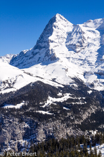 Eiger Nord- und Westseite   Bern Schweiz, Swizerland by Peter Ehlert in Eiger-Jungfrau-Aletsch-Grindelwald