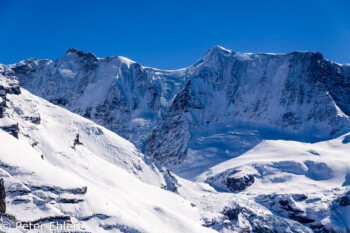 Gletscherhorn   Bern Schweiz, Swizerland by Peter Ehlert in Eiger-Jungfrau-Aletsch-Grindelwald