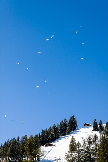 Paraglider in Mürren  Mürren Bern Schweiz, Swizerland by Peter Ehlert in Eiger-Jungfrau-Aletsch-Grindelwald