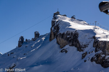 Bergstation Birg   Bern Schweiz, Swizerland by Peter Ehlert in Eiger-Jungfrau-Aletsch-Grindelwald