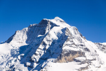 Jungfrau mit Giesengletscher   Bern Schweiz, Swizerland by Peter Ehlert in Eiger-Jungfrau-Aletsch-Grindelwald