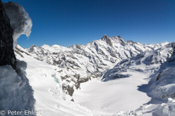 Eismeer   Bern Schweiz, Swizerland by Peter Ehlert in Eiger-Jungfrau-Aletsch-Grindelwald