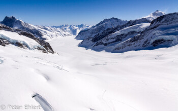 Jungfraufirn    Bern Schweiz, Swizerland by Peter Ehlert in Eiger-Jungfrau-Aletsch-Grindelwald