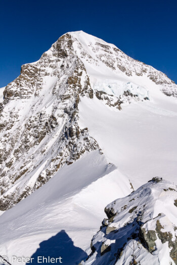 Mönch   Bern Schweiz, Swizerland by Peter Ehlert in Eiger-Jungfrau-Aletsch-Grindelwald