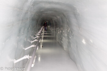 Eistunnel im Gletscher   Bern Schweiz, Swizerland by Peter Ehlert in Eiger-Jungfrau-Aletsch-Grindelwald