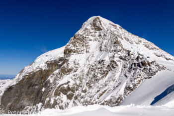 Mönch   Bern Schweiz, Swizerland by Peter Ehlert in Eiger-Jungfrau-Aletsch-Grindelwald