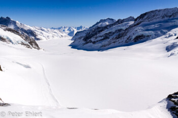 Jungfraujoch Gletscher   Bern Schweiz, Swizerland by Peter Ehlert in Eiger-Jungfrau-Aletsch-Grindelwald