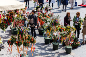 Blumenstand  Salzburg Salzburg Österreich by Peter Ehlert in Salzburg mit Schloss Hellbrunn