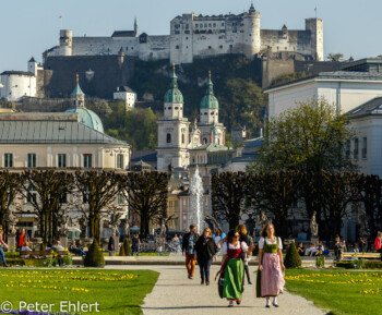 Gartenparterre mit Festung  Salzburg Salzburg Österreich by Peter Ehlert in Salzburg mit Schloss Hellbrunn