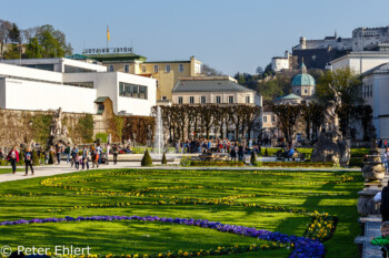 Großes Gartenparterre  Salzburg Salzburg Österreich by Peter Ehlert in Salzburg mit Schloss Hellbrunn