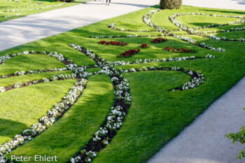 Bepflanzung kleines Gartenparterre   Salzburg Salzburg Österreich by Peter Ehlert in Salzburg mit Schloss Hellbrunn