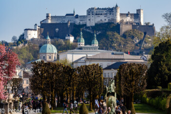 Pegasus mit Festung  Salzburg Salzburg Österreich by Peter Ehlert in Salzburg mit Schloss Hellbrunn