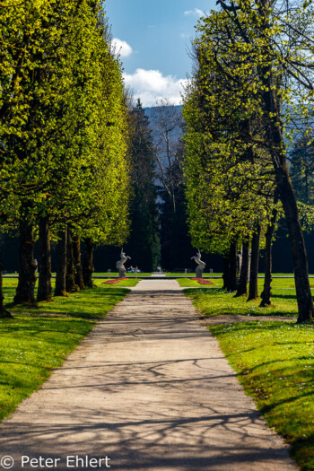 Allee mit Einhörnern  Salzburg Salzburg Österreich by Peter Ehlert in Salzburg mit Schloss Hellbrunn