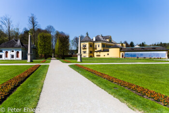 Kronengrotte, Schloss und Orangerie  Salzburg Salzburg Österreich by Peter Ehlert in Salzburg mit Schloss Hellbrunn