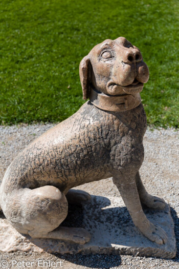Hunde Skulptur  Salzburg Salzburg Österreich by Peter Ehlert in Salzburg mit Schloss Hellbrunn