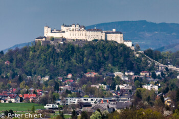 Festung Salzburg  Salzburg Salzburg Österreich by Peter Ehlert in Salzburg mit Schloss Hellbrunn