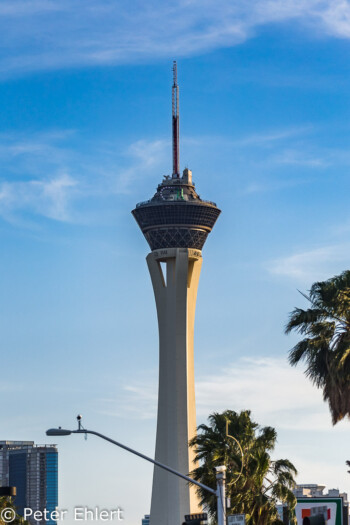 Stratosphere Tower  Las Vegas Nevada  by Peter Ehlert in Las Vegas Downtown
