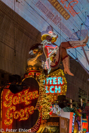 Cowgirl  Las Vegas Nevada  by Peter Ehlert in Las Vegas Downtown