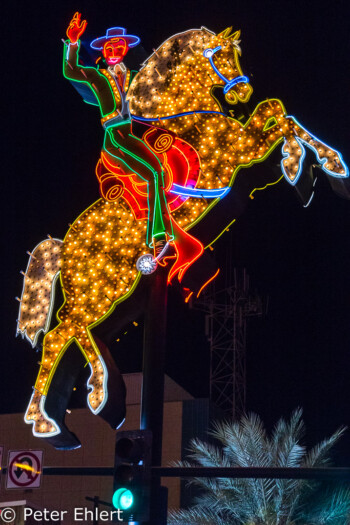 Cowboy Neon  Las Vegas Nevada  by Peter Ehlert in Las Vegas Downtown