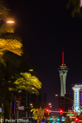 LV Boulevard zum Stratosphere Tower  Las Vegas Nevada USA by Peter Ehlert in Las Vegas Downtown