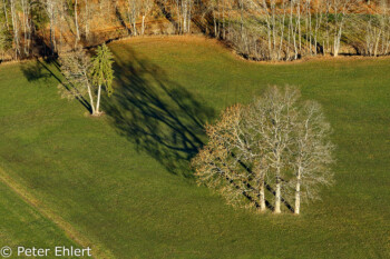 Baum aus Vogelperspektive  Gmund Bayern Deutschland by Peter Ehlert in Ballonfahrt im Winter