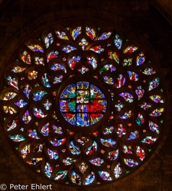 Fensterrosette  Barcelona Catalunya Spanien by Peter Ehlert in Barcelonas Kirchen