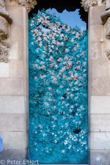 Blütenfenster Geburtsseite  Barcelona Catalunya Spanien by Peter Ehlert in Barcelonas Kirchen