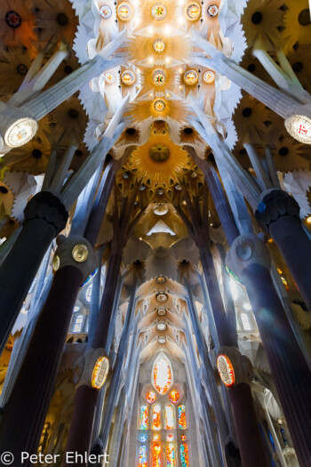 Decke und Säulen  Barcelona Catalunya Spanien by Peter Ehlert in Barcelonas Kirchen