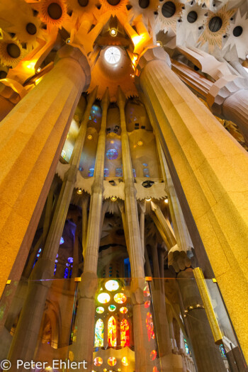 Decke und Säulen  Barcelona Catalunya Spanien by Lara Ehlert in Barcelonas Kirchen