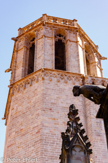 Wasserspeier am Dach  Barcelona Catalunya Spanien by Peter Ehlert in Barcelonas Kirchen